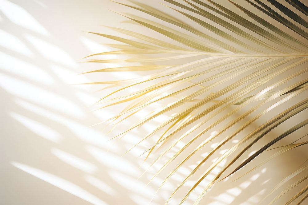 Palm leaves reflected nature backgrounds sunlight. AI generated Image by rawpixel.