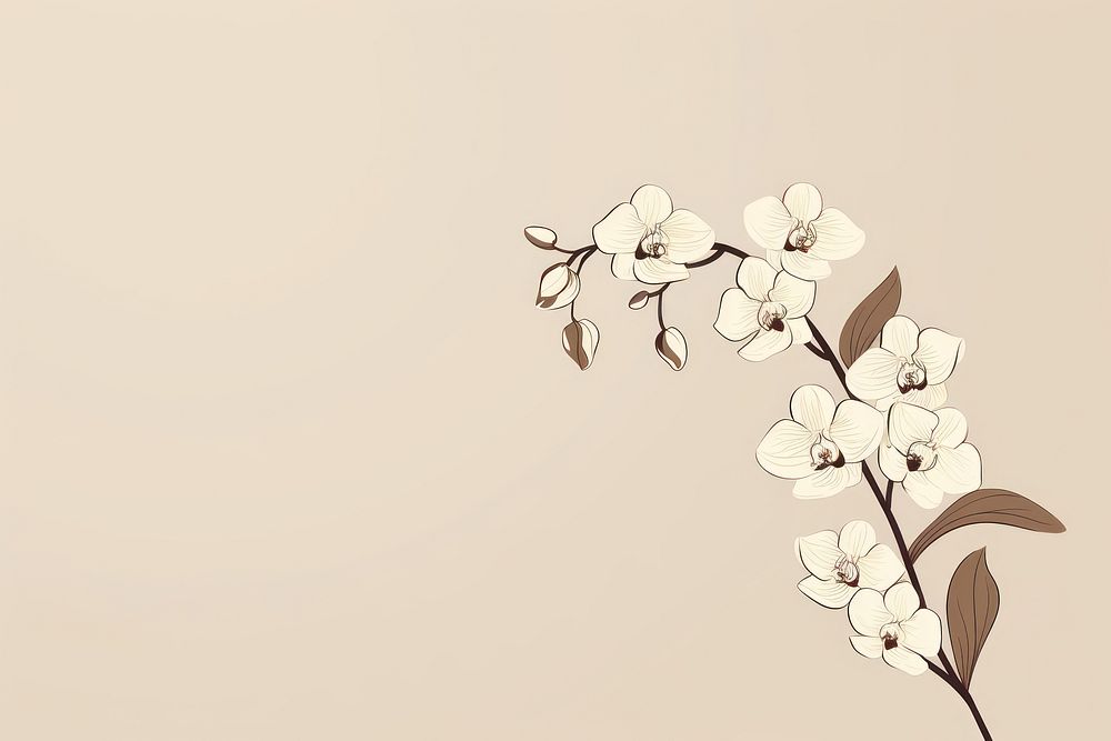 Orchid flower plant fragility. AI generated Image by rawpixel.