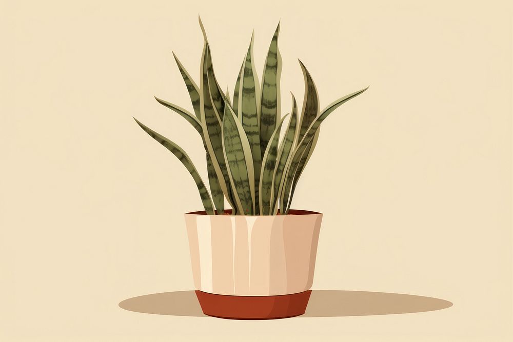 Sansevieria plant houseplant flowerpot. AI generated Image by rawpixel.