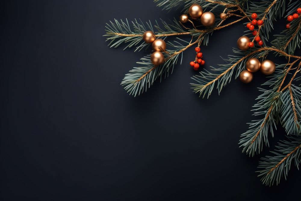 Christmas tree branch plant. AI generated Image by rawpixel.