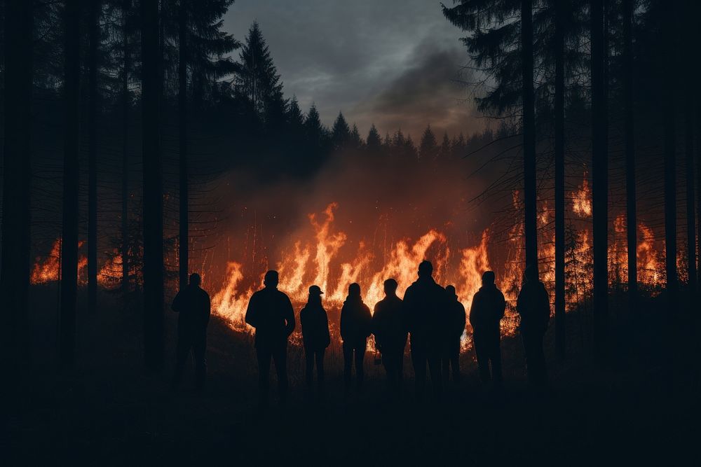 Fire forest night forest fire. AI generated Image by rawpixel.
