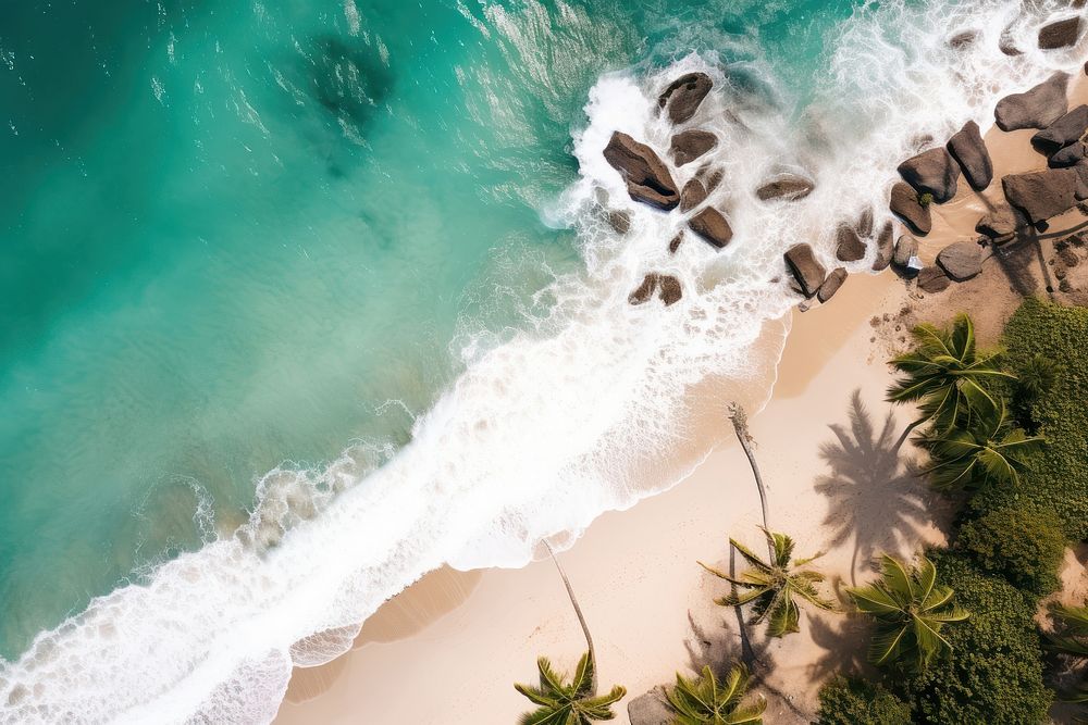 Tropical beach outdoors nature ocean. AI generated Image by rawpixel.