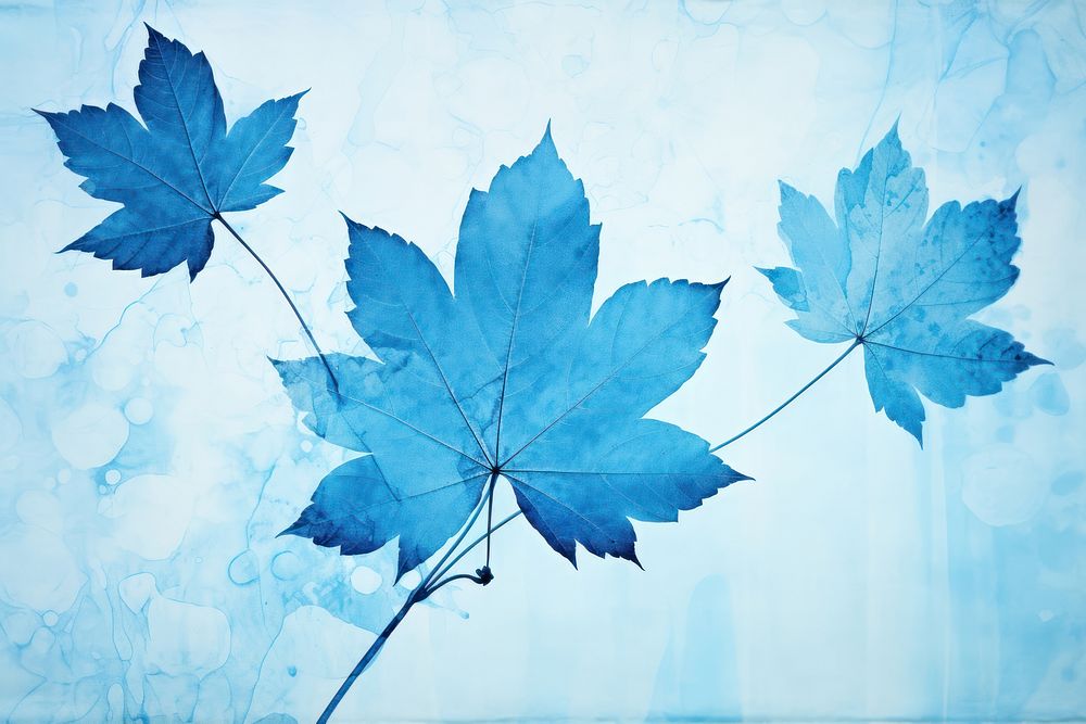 Maple leaf plant tree art. AI generated Image by rawpixel.