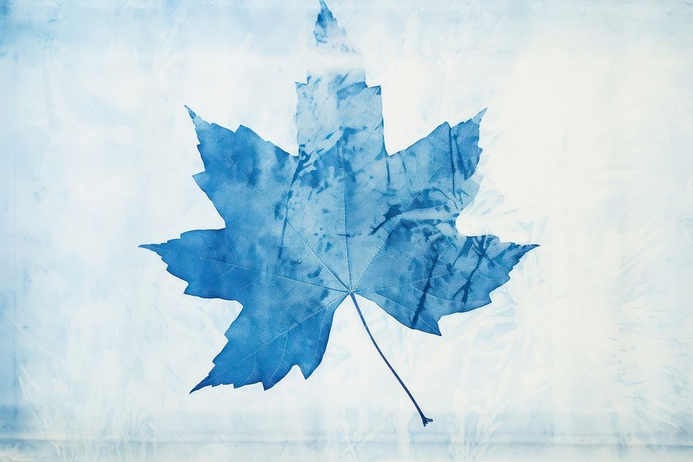 Maple leaf plant art creativity. AI generated Image by rawpixel.