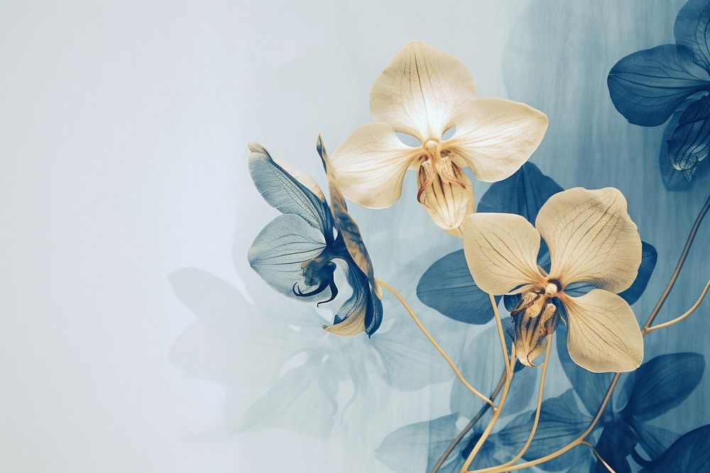 Minimal dry orchid gold flower petal plant. AI generated Image by rawpixel.