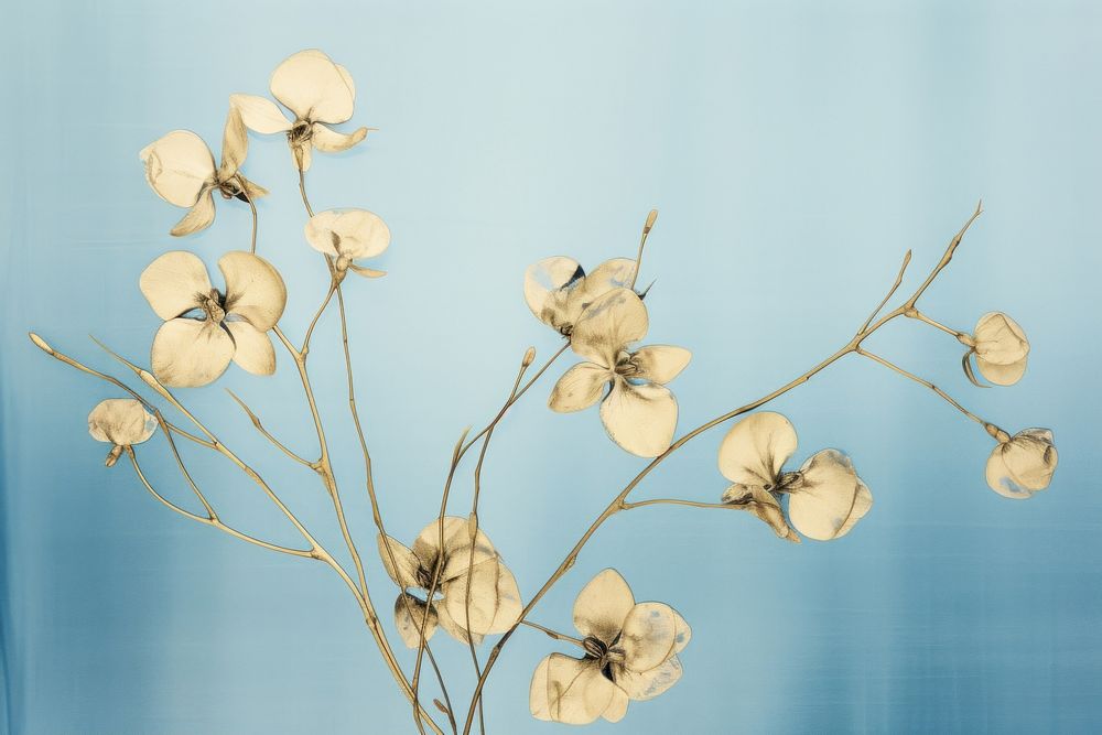 Minimal dry orchid gold flower plant art. AI generated Image by rawpixel.