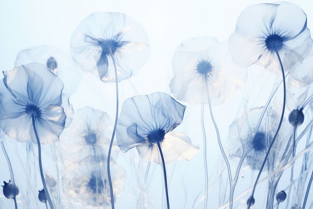 Minimal dry flowers backgrounds outdoors nature. AI generated Image by rawpixel.