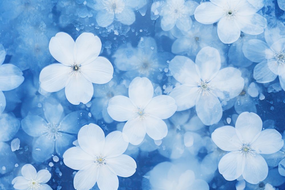 Petal sakura backgrounds outdoors blossom. AI generated Image by rawpixel.