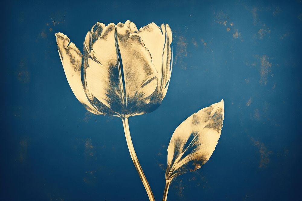 Tulip outdoors flower petal. AI generated Image by rawpixel.