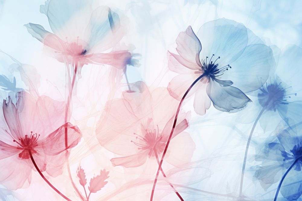 Backgrounds abstract flower petal. AI generated Image by rawpixel.