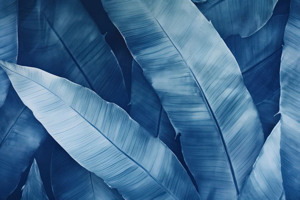Abstract banana leaf backgrounds plant Free Photo Illustration rawpixel