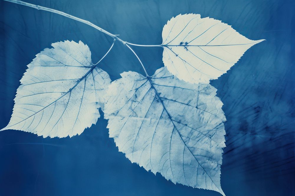 Leaf backgrounds outdoors nature. AI generated Image by rawpixel.