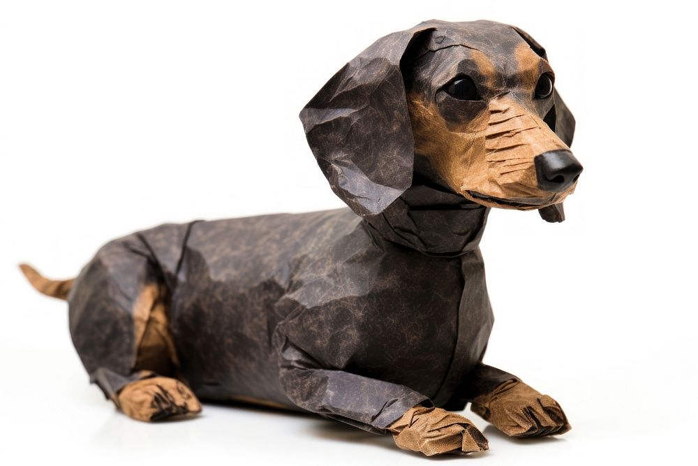 Dachshund animal mammal paper. AI generated Image by rawpixel.
