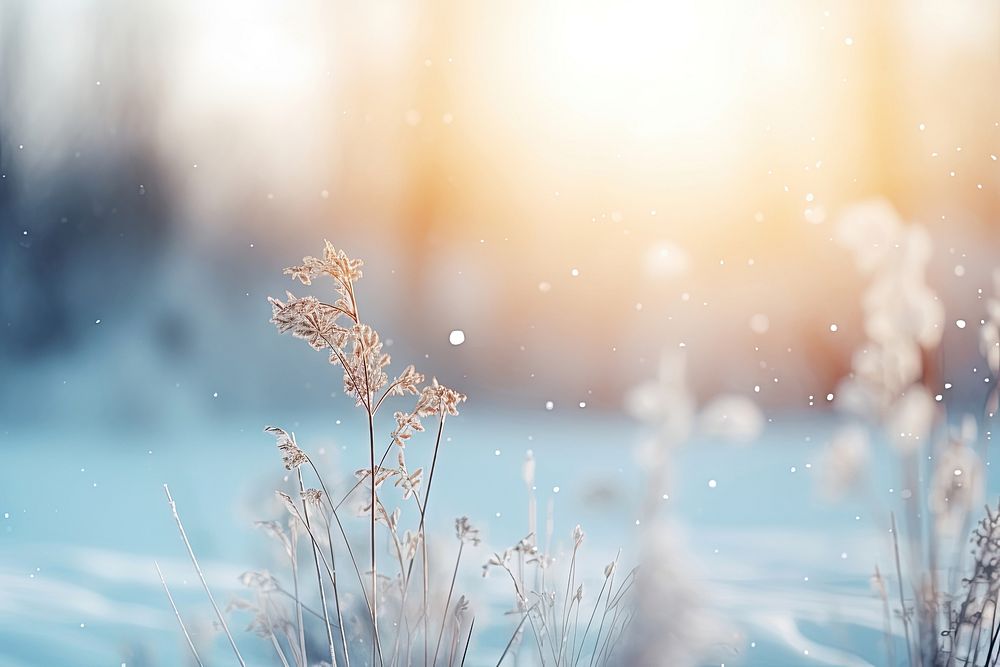 Beautiful Winter landscape winter snow outdoors. AI generated Image by rawpixel.