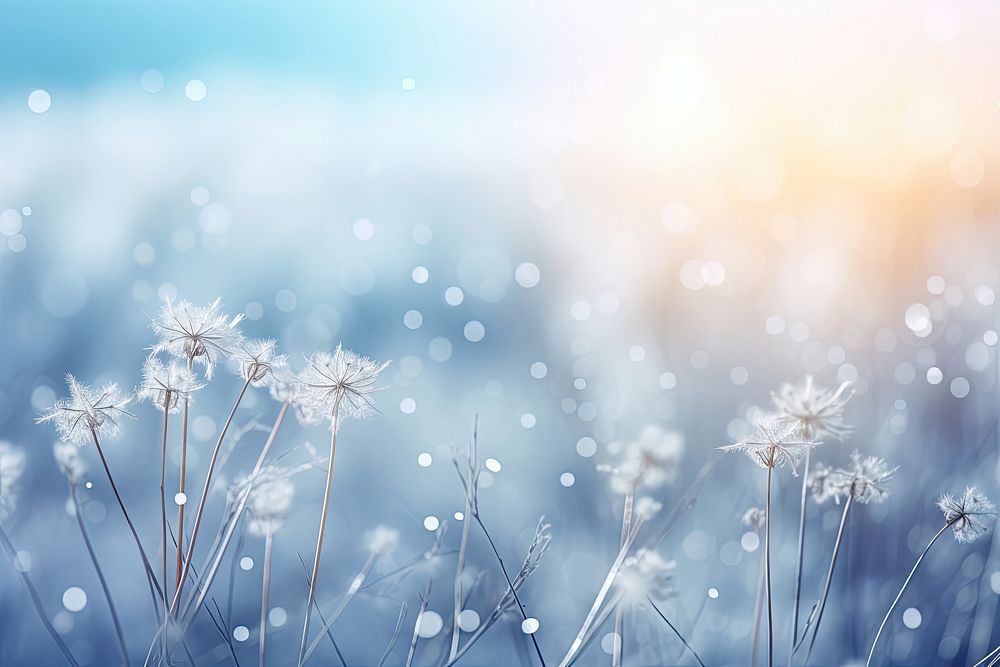 Backgrounds dandelion landscape outdoors. AI generated Image by rawpixel.