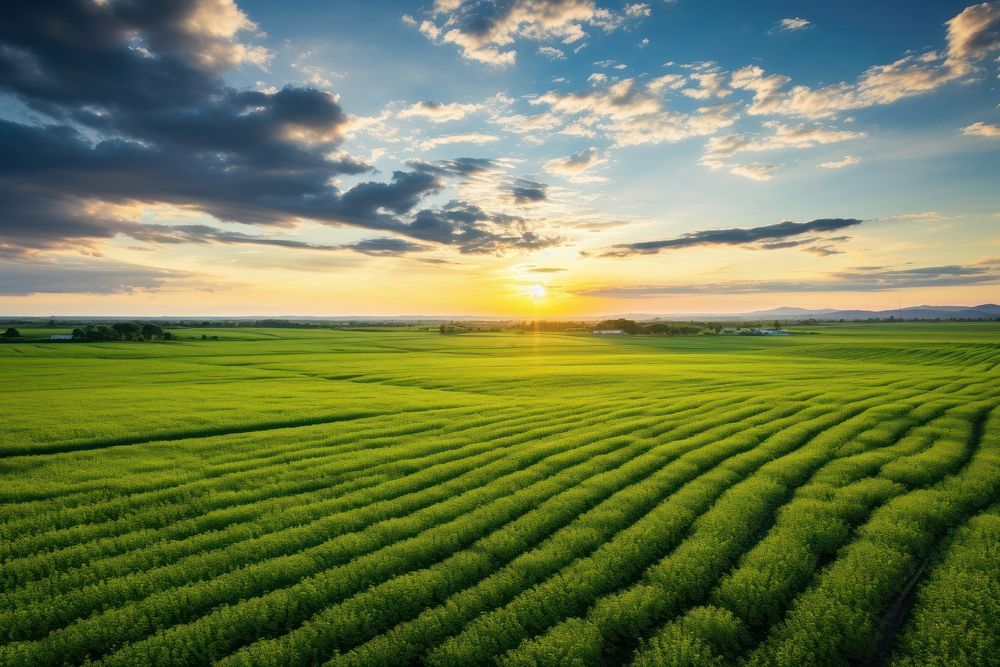 Green farm landscape outdoors horizon. AI generated Image by rawpixel.