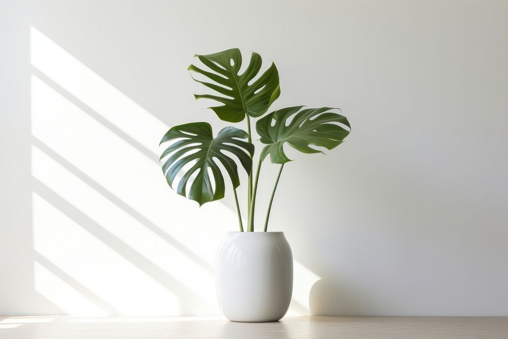 Monstera plant leaf vase. AI generated Image by rawpixel.