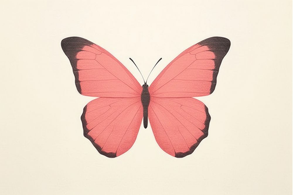 Pink butterfly animal insect invertebrate. AI generated Image by rawpixel.