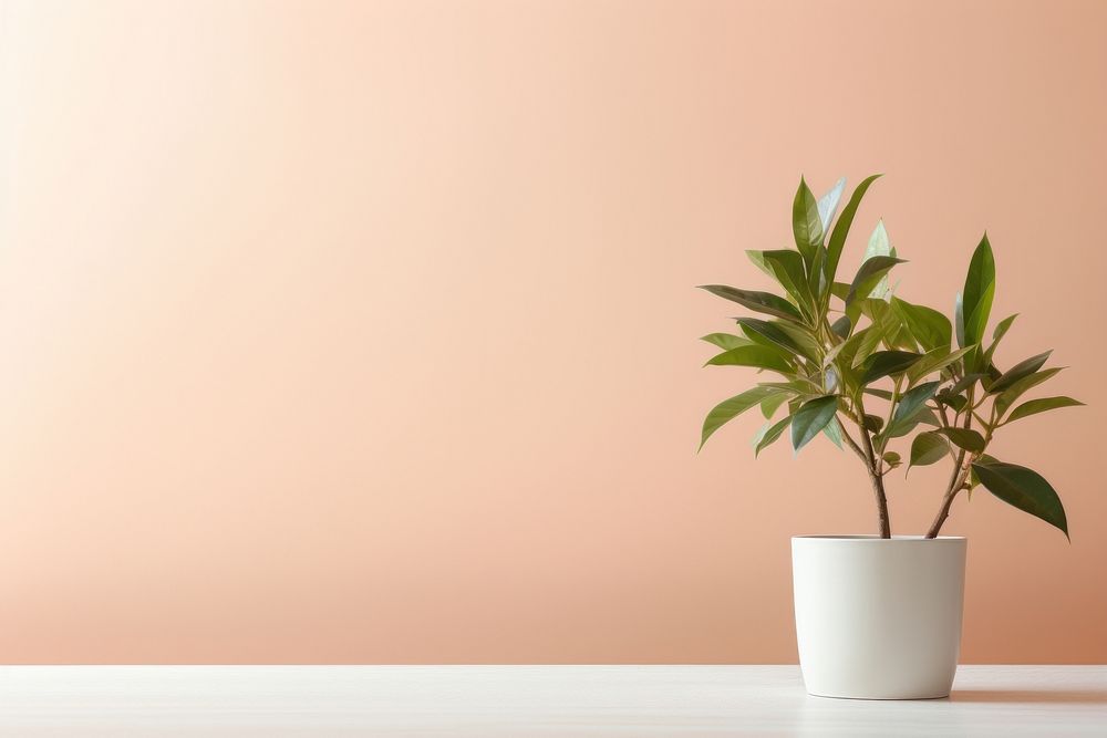 Houseplant leaf terracotta ecosystem. AI generated Image by rawpixel.