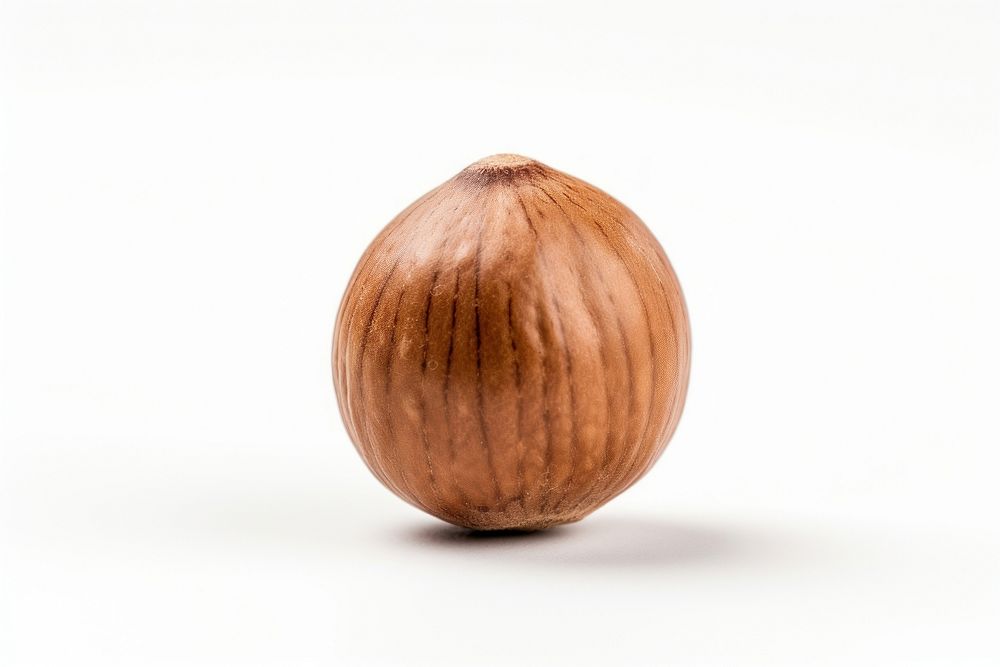 Nut plant food white background. AI generated Image by rawpixel.