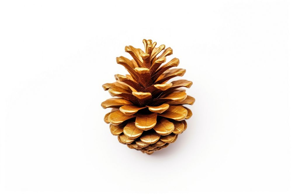 Christmas gold pine cone jewelry plant white background. AI generated Image by rawpixel.