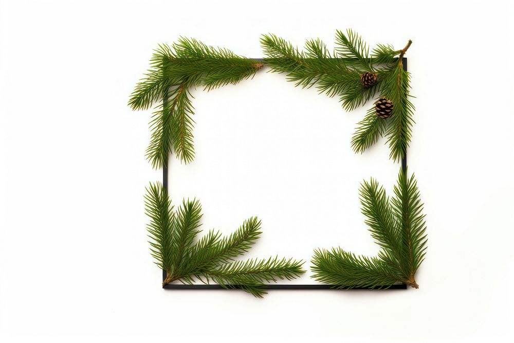 Christmas pine leaf plant frame tree. AI generated Image by rawpixel.