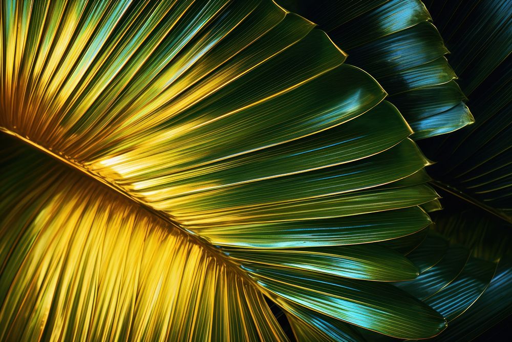 Palm leaf nature plant tree. AI generated Image by rawpixel.