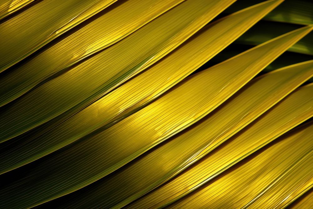 Palm leaf plant backgrounds abstract. AI generated Image by rawpixel.