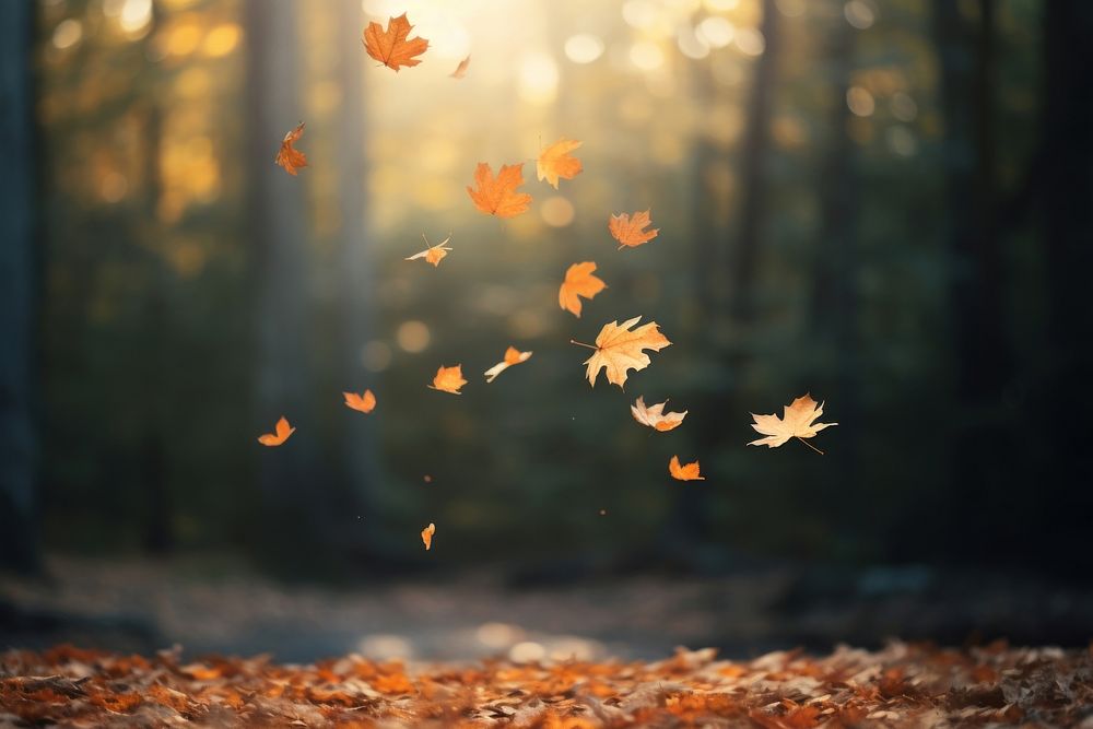 Leafs falling sunlight outdoors autumn. AI generated Image by rawpixel.