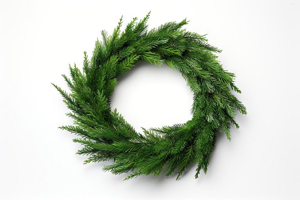 Christmas wreath pine christmas plant leaf. AI generated Image by rawpixel.