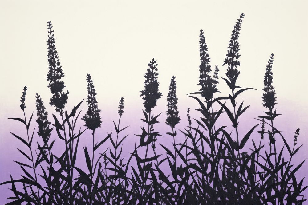 Lavender plant silhouette outdoors nature. AI generated Image by rawpixel.
