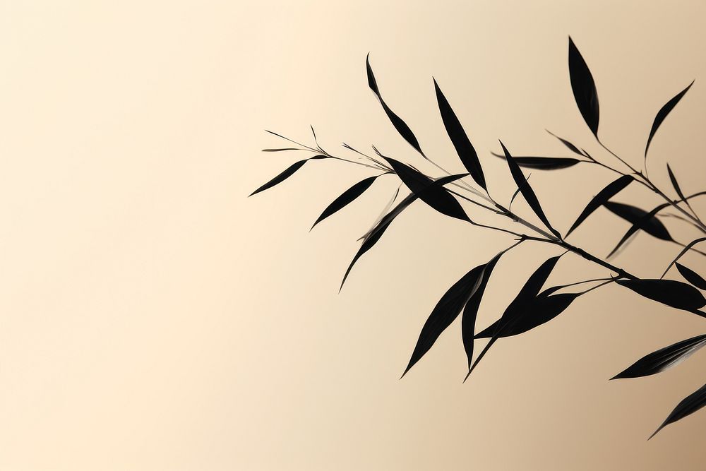 Plant silhouette leaf outdoors. AI generated Image by rawpixel.