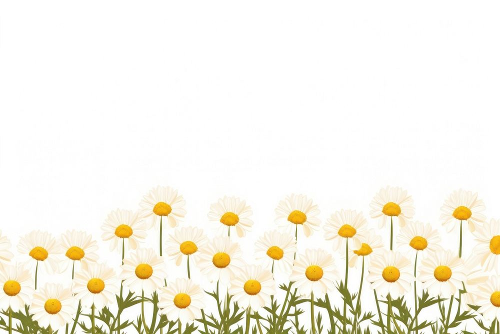 Daisy flower backgrounds outdoors nature. AI generated Image by rawpixel.