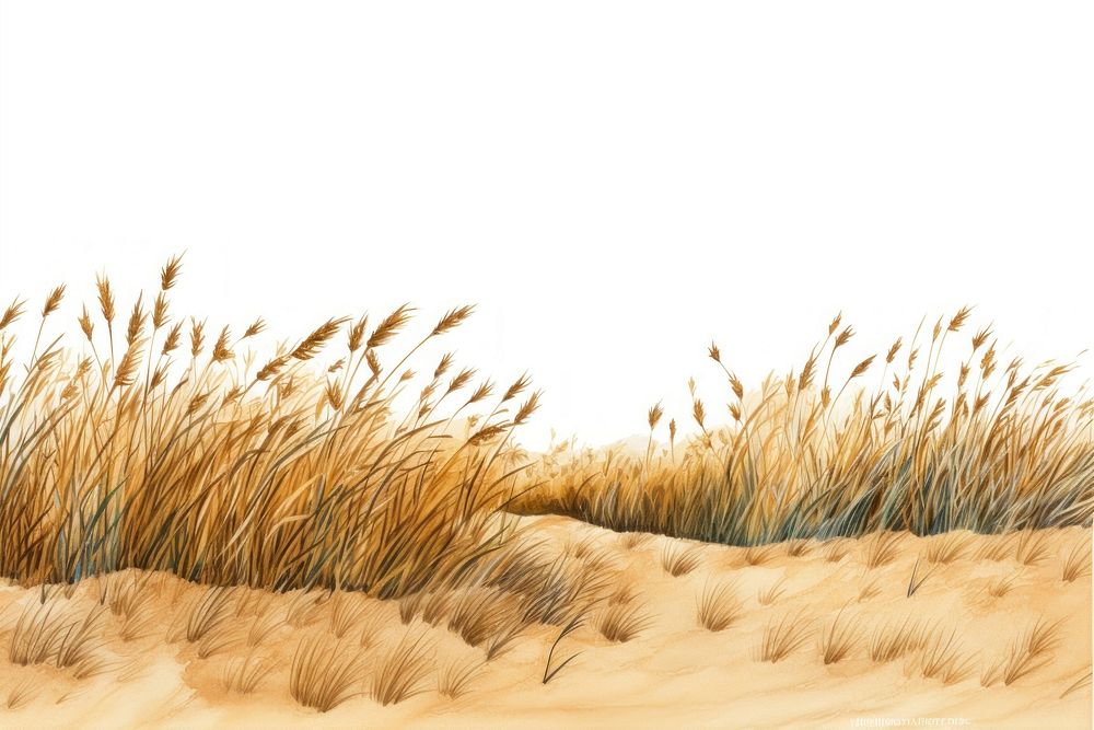 Dry short grass field outdoors nature plant. AI generated Image by rawpixel.