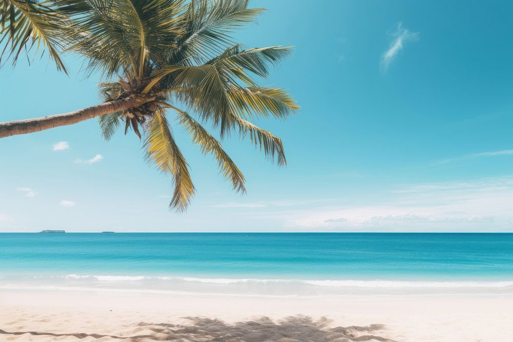 Tropical beach sky outdoors horizon. AI generated Image by rawpixel.