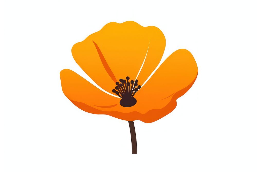 California Poppy flower poppy petal. AI generated Image by rawpixel.
