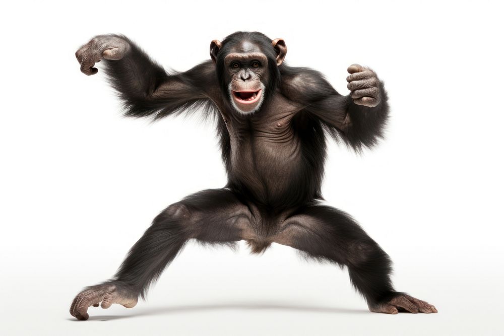 Dancing chimpanzee wildlife mammal monkey. AI generated Image by rawpixel.