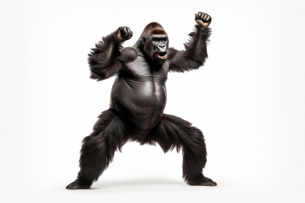 Dancing gorilla wildlife mammal monkey. | Premium Photo - rawpixel