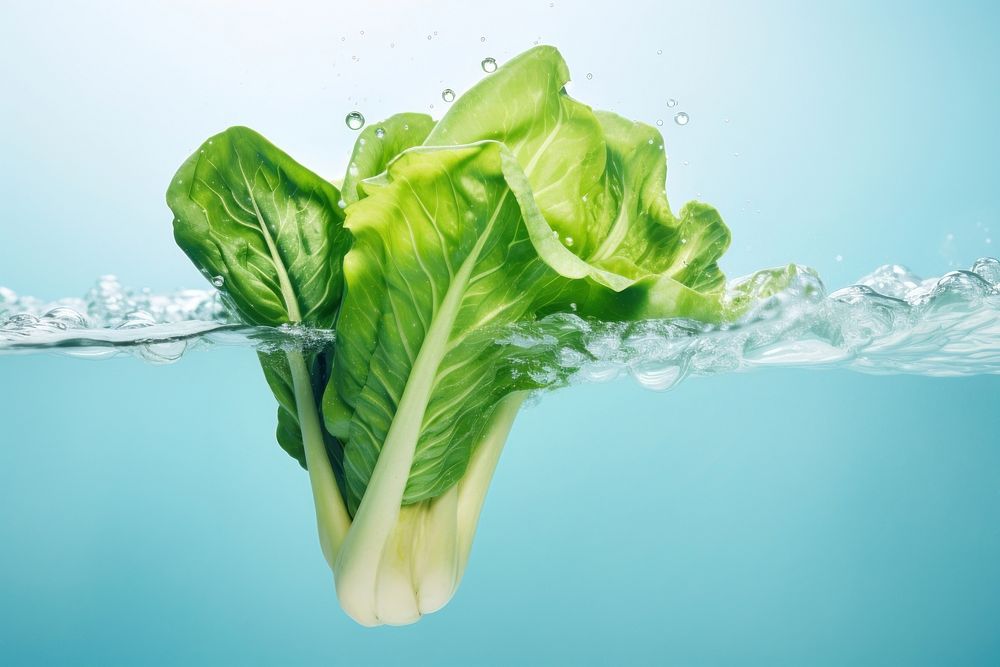 Vegetable food freshness splashing. AI generated Image by rawpixel.