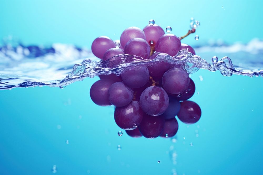 Grapes purple plant fruit. AI generated Image by rawpixel.