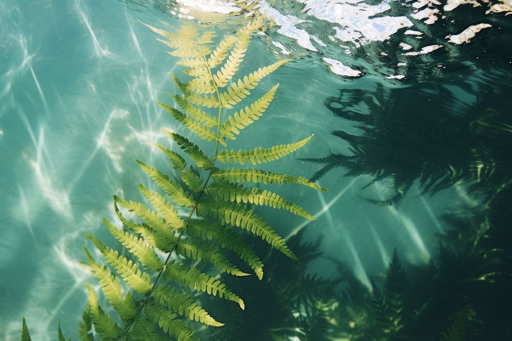 Fern underwater outdoors nature. AI generated Image by rawpixel.