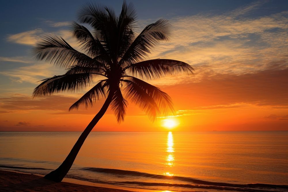 Beach tree silhouette landscape. AI | Free Photo - rawpixel