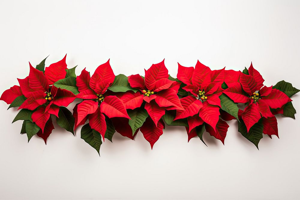 Christmas flower red poinsettia garland plant petal leaf. AI generated Image by rawpixel.
