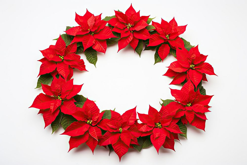 Christmas flower red poinsettia circle garland wreath plant leaf. AI generated Image by rawpixel.