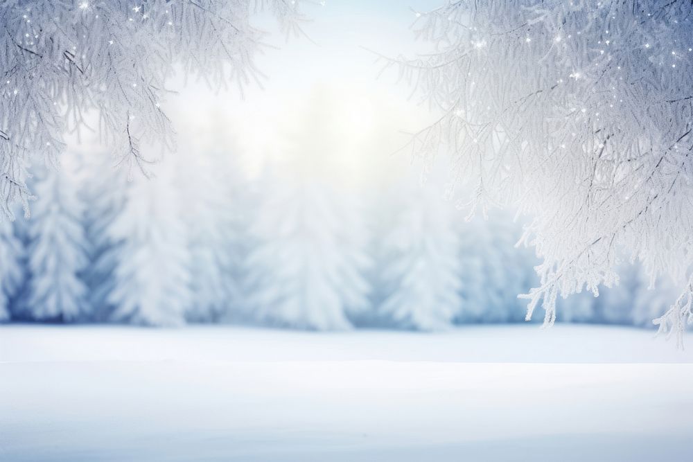 Spruce branches snow backgrounds christmas. AI generated Image by rawpixel.