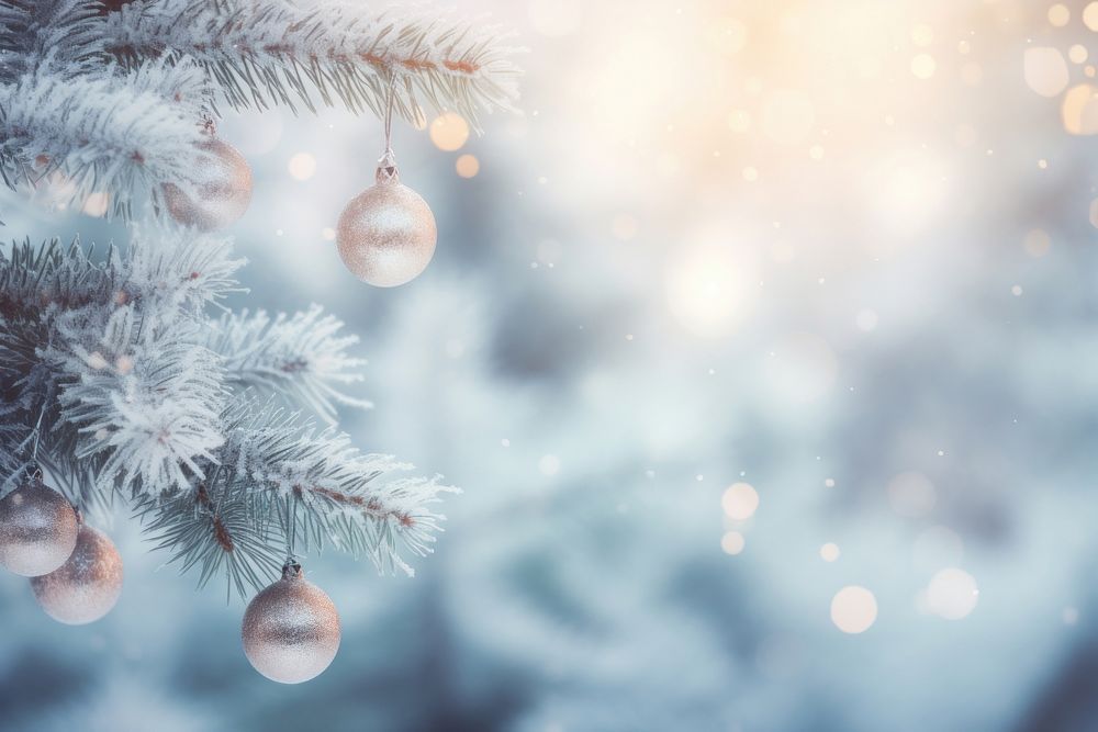 Spruce frosty brunches christmas backgrounds outdoors. AI generated Image by rawpixel.