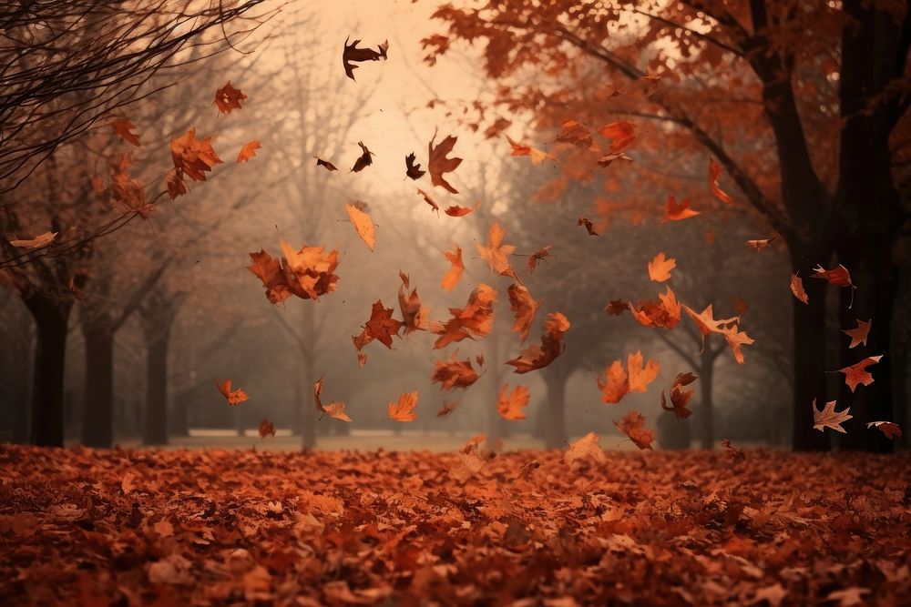 Autumn leaves falling plant tree. AI generated Image by rawpixel.