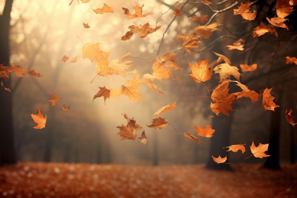 Autumn leaves tree falling plant. AI generated Image by rawpixel.