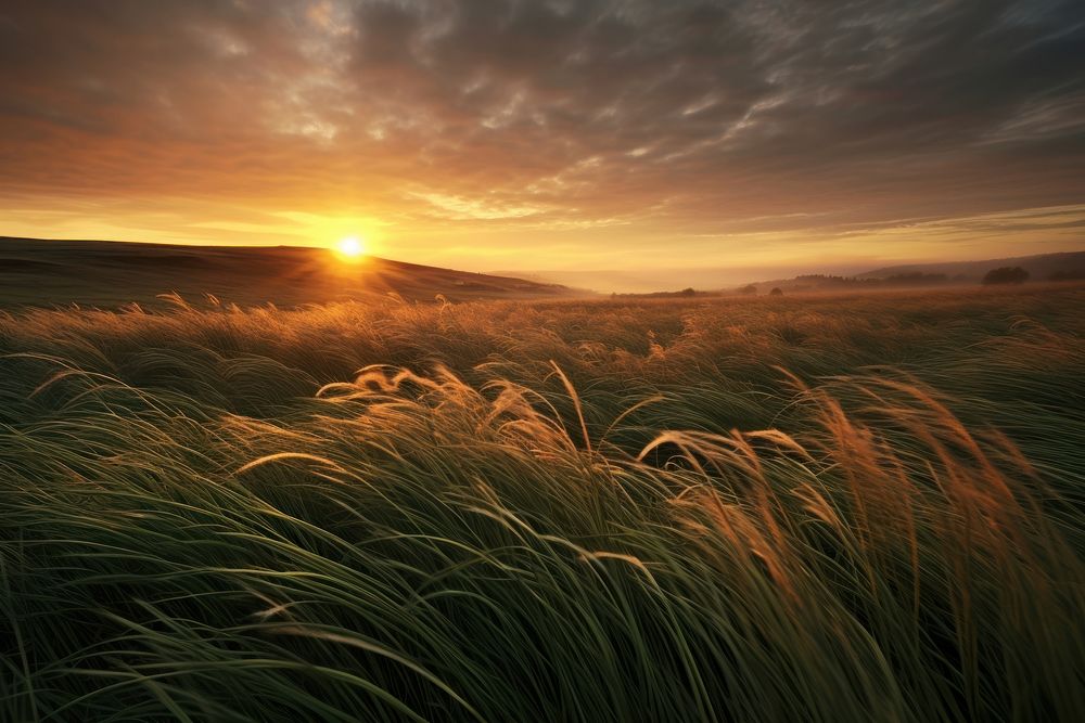 Spring grass landscape sun grassland. AI generated Image by rawpixel.