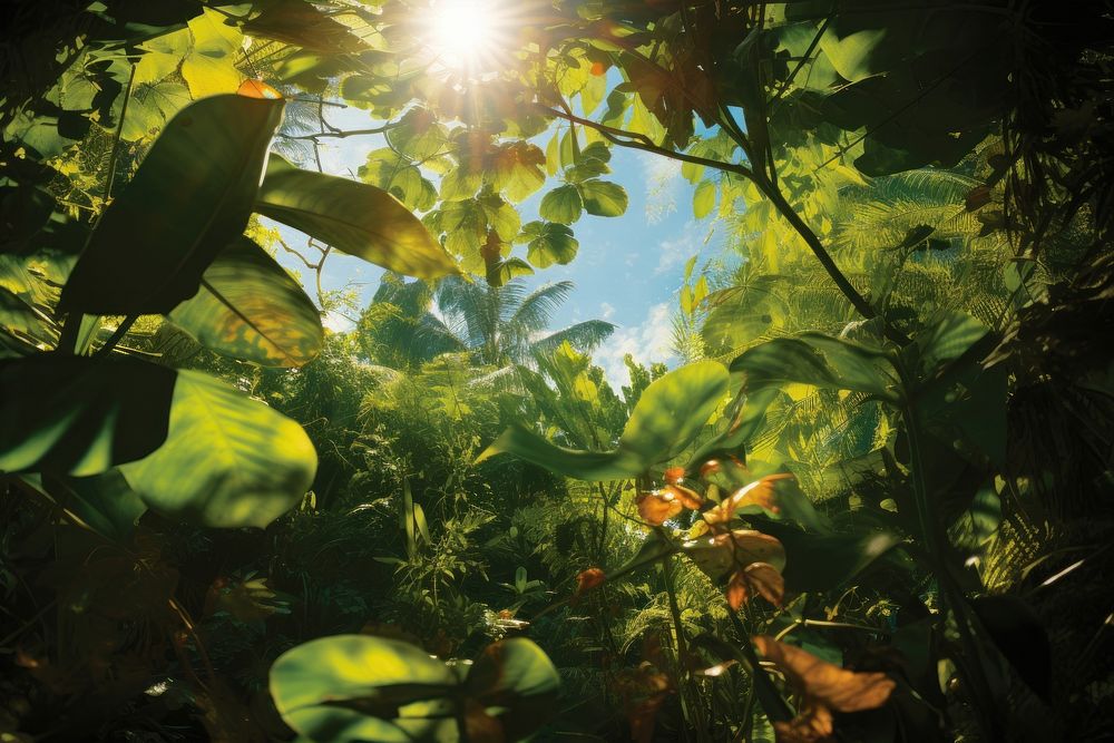 Jungle green vegetation sunlight. AI generated Image by rawpixel.